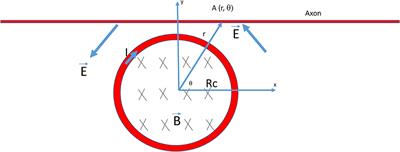 Finding the Location of Axonal Activation by a Miniature Magnetic Coil